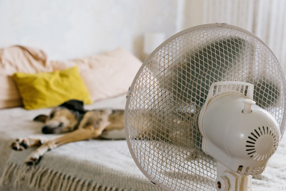 AC only working sometimes